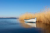 Ruderboot bei Warthe, Lieper Winkel, Insel Usedom, Ostsee, Mecklenburg-Vorpommern, Deutschland