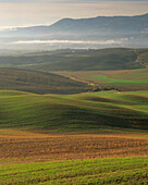 Early morning sunshine falls over undulating hills as low cloud rises in the valley near San Quirico d’Orcia in Tuscany