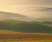 Misty valleys at dawn in the countryside near Pienza as sunlight picks out the undulating, newly-seeded fields 