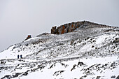 Wanderer unter Brutkolonien von Zügelpinguinen (Pygoscelis antarctica) im Schnee, auf Half Moon Island, Südliche Shetlandinseln, Südamerika, Antarktis
