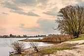  Elbe River Landscape Biosphere Reserve near Dömitz, Mecklenburg-Western Pomerania, Germany 