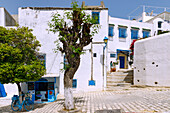  White cube houses with Arabic balconies and blue window grilles in the (Medina) old town of Sidi Bou Said, Tunisia 