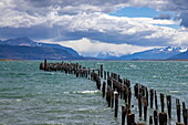  Piles of an old wooden pier in the Señoret Channel with mountains in the distance, Puerto Natales, Magallanes and Chilean Antartica, Patagonia, Chile, South America 