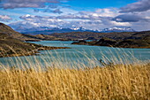  Tourist boat in Pudeto on Lago Pehoe in the Torres del Paine National Park, Torres del Paine, Magallanes and Chilean Antarctica, Patagonia, Chile, South America 