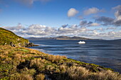  Expedition cruise ship Ventus Australis (Australis Cruises) at anchor, Cape Horn, Hornos Island, Magallanes and Chilean Antarctica, Patagonia, Chile, South America 