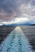  Beagle Channel, Tierra del Fuego, Ushuaia, Argentina, South America 