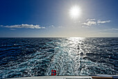 Norwegian cruise ship, Drake Passage, Tierra del Fuego, Ushuaia, Argentina, South America 
