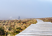 Norwegen, Insel Runde, Wanderer geht im Nebel