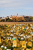 Morocco, Salé, muslim cemetery, Rabat skyline, 