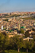 Morocco, Fès, Fès El-Bali, skyline, panorama