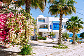  House with Arabian balcony and square with palm trees and blooming bougainvillea overlooking the harbor entrance in the old town of Hergla, Tunisia 