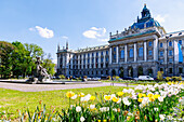 Alter Botanischer Garten mit Neptunbrunnen und Justizpalast in München, Bayern, Deutschland