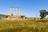  Capitol (Capitol Temple) with standing columns, archaeological site with the ruins of the Roman Thuburbo Majus, Tunisia 