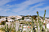   Zaghouan, Tunisia 