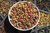 Morocco, Marrakesh, souk, market, food, spices, 