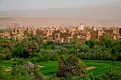 Morocco, Tinerhir, Tinghir, skyline, 