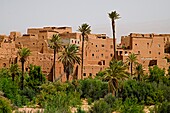 Morocco, Tinerhir, Tinghir, skyline, 