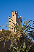  Marokko, Dadès-Tal, Skoura, Kasbah, Palmenhain 