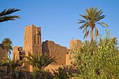 Marokko, Dadès-Tal, Skoura, Kasbah, Palmenhain 