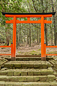 Red torii gate at the end of stone stairs in Nara Park, Japan.
