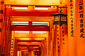 Row of red torii with Japanese lantern at the Fushimi Inariyama, Kyoto, Japan.