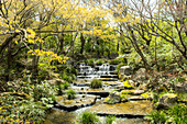 Waterfall in the Koko-En Garden; Japanese style garden next to the Himeji castle.
