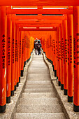 Senbon Torii; Torii row at the Hie-jinja Shrine, Nagatachō, Chiyoda, Tokyo, Japan.