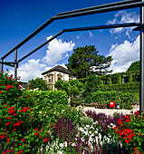  Montrichard square with rose arrangements, Haus Rose in the background, Eltville, Rheingau, Hesse, Germany 