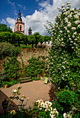  View from the rose garden of the Electoral Castle to the town church of Peter and Paul, Eltville, Rheingau, Hesse, Germany 