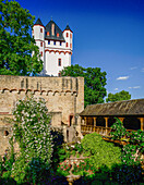  Castle garden with rose arrangements, castle tower, Eltville, Rheingau, Hesse, Germany 