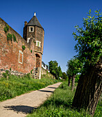 Nature trail along the city wall with pollarded willows, watchtower in the foreground, Zons, City of Dormagen, Lower Rhine, North Rhine-Westphalia, Germany 