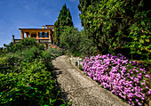  Path with flowers and subtropical plants with a view of Villa Hanbury, Hanbury Botanical Garden, Ventimiglia, Liguria, Italy 