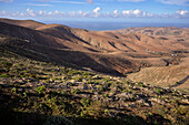  Distant view from the &quot;Mirador Risco de las Peñas&quot; near Betancuria towards the sea, Fuerteventura, Canary Islands, Spain, Europe 