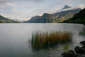  on the shore of Lake Mondsee near Scharfling, Salzkammergut, Austria, Alps, Europe 
