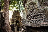  Ta Prohm, Angkor Wat, Angkor, UNESCO World Heritage Site, Siem Reap, Cambodia, Indochina, Southeast Asia 