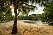 Palmenstrand Klong Son Beach, Nationalpark Mu Ko Chang, Insel Koh Chang, Ko Chang, Provinz Trat, Golf von Thailand, Thailand