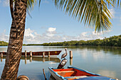 Grand Cul-de-sac Marin,Vieux-Bourg, Morne-a-l'eau, Grande-Terre, Guadeloupe, overseas region of France,Leewards Islands, Lesser Antilles, Caribbean