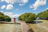 Exploring mangrove,Grand Cul-de-sac Marin,Vieux-Bourg, Morne-a-l'eau, Grande-Terre, Guadeloupe, overseas region of France,Leewards Islands, Lesser Antilles, Caribbean