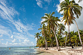 Bois Jolan beach, Sainte-Anne, Grande-Terre, Guadeloupe, overseas region of France,Leewards Islands, Lesser Antilles, Caribbean