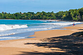 Clugny beach, Basse-Terre, Guadeloupe, overseas region of France,Leewards Islands, Lesser Antilles, Caribbean