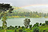 Rainbow over the Castlereagh Lake, near Hatton, Sri Lanka, Indian subcontinent, South Asia