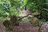 Panzerabwehranlagen der Drachenzähne, Verteidigungsanlagen, aus dem Zweiten Weltkrieg, Guildford, bei London, Surrey, Großbritannien