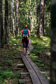  Hiker on boardwalk in Lahemaa National Park, Estonia 