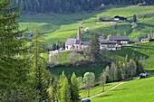 Blick auf  St. Magdalena im Villnößtal, Dolomiten, Trentino-Südtirol, Italien