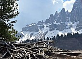 Blick zur Geislergruppe unter dem Peitlerkofel, Geisler Gruppe, am Würzjoch, Dolomiten, Trentino-Südtirol, Italien