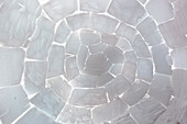  View of the ceiling of the igloo, Mohnbukta, Svalbard, Norway 