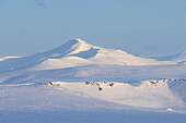  Winter landscape at Mohnbukta, Svalbard, Norway 