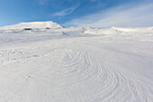  Winter landscape at Mohnbukta, Svalbard, Norway 