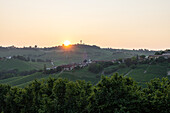  Sunset in the vineyards, Italy, Piedmont, Langhe wine region 