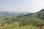 Blick von La Morra aus über die Weinhügel, Piemont, Italien